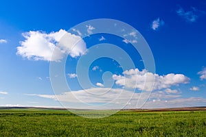 Sky and grass backround