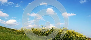 Sky And Grass - wide view