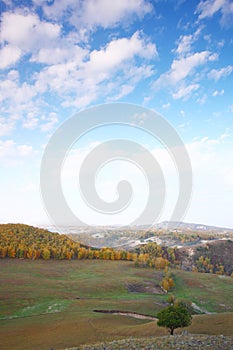 Sky on grassland