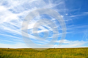 Sky and grassland