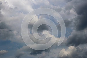 Nature background 3572