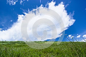 Sky with green fields