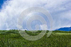 Sky with green fields