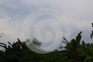 Sky landscapes in tropical forests during sunset images for nature backgrounds.