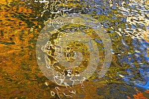 Sky and leaves reflected in the water surface