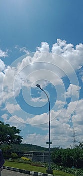 the sky and the many clouds with flying birds add to the beauty of my sunny day coupled with a very slender lamppost