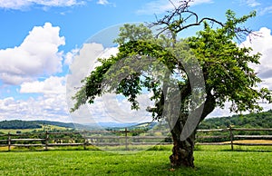 Sky Meadows State Park