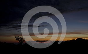 Sky moning and tree.