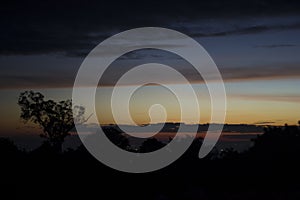 Sky moning and tree.