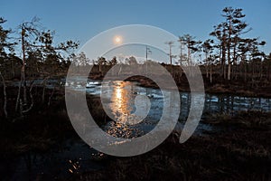 Moon rise observingn over swamp in Latvia