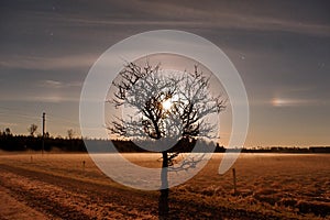 Moon rise observingn over field in Latvia photo