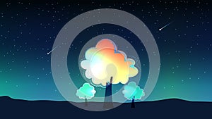 Sky at night and meteor with trees