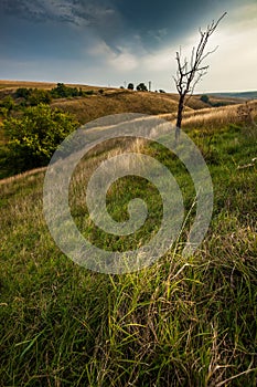 sky over grass field during summer, rural landscape