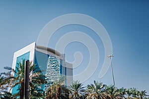 Sky and palm trees. Saudi Arabia Riyadh landscape - Riyadh photo