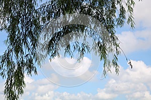 Sky Picture for Sugar Land Memorial Park and Brazos River Corridor