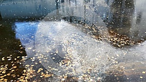 Sky reflection in puddle water asphalt after rain bubbles rainy season autumn leaves fall building reflection on water