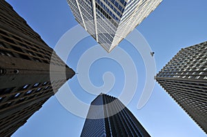 Sky between skyscrapers, with bird