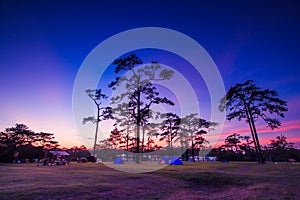 Sky and stars at night with camping