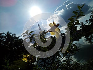 The sky touching Minar