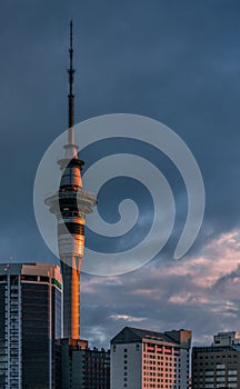 Sky Tower of Auckland