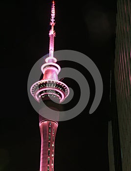 Sky Tower at night