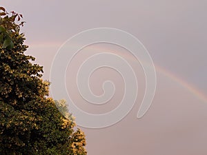 Sky tree rainbow arco iris cielo photo