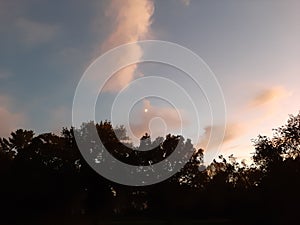 Sky trees clowds dusk day moon