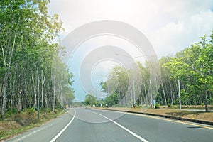 Sky, trees and a long road. Thailand travel concept