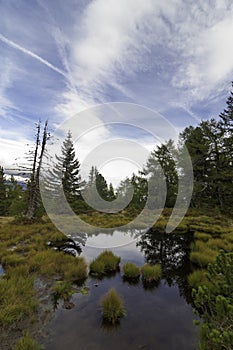 The sky and trees are reflecting in a small raised bog lake on the Moserkopf moutain, Faningberg im Lungau. Autumn mood