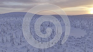 Sky view of hikers cross-country skiing in finnish Lapland