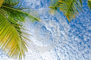 Sky view with white clouds from eagle Beach, Aruba