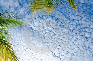 Sky view with white clouds from eagle Beach, Aruba