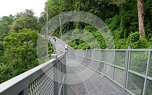 Sky walk in Queen Sirikit Botanic Garden