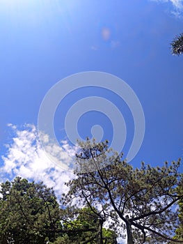 When the sky was blue