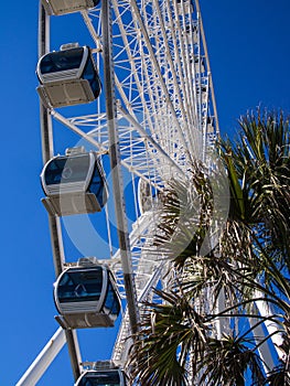 The Sky Wheel ferris wheel at Myrtle Beach seen from below with palm trees and blue sky