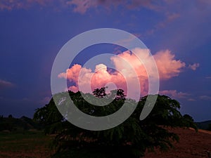 Sky with white rainy clouds in the green farmland. close up view of cloud,