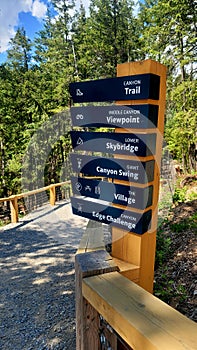 SkyBridge hiking trail in Golden, Canada