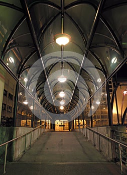 Skybridge at Night