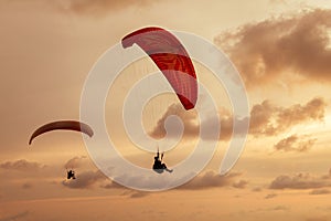 Skydiver flies on background of the cloudy sky
