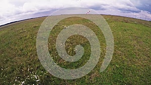 Skydiver fly on parachute landing on green field. Summer day. Extreme sport