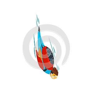 Skydiver man falling through the air, free fall, skydiving, parachuting extreme sport vector Illustration on a white