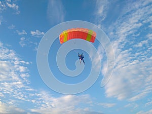 A skydiver with a sports parachute wing flies before landing in the summer