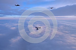 Skydivers are faling above pink clouds in the sunset sky.