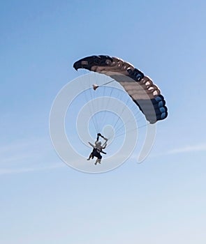 Skydivers in the sky on a summer day