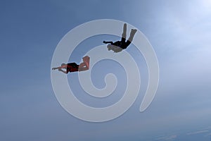 Skydiving in the blue sky.. Two skydivers are training.