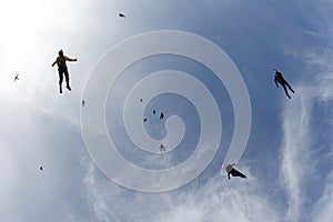 Skydiving. A flock of skydivers is in the blue sky.