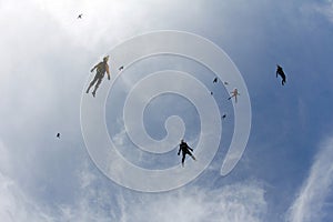 Skydiving. A flock of skydivers is in the blue sky.