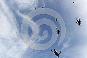 Skydiving. A flock of skydivers is in the blue sky.