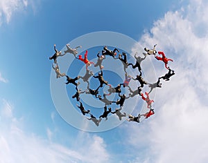 Skydiving large group formation