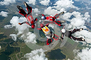 Skydiving photo. The concept of active recreation.
